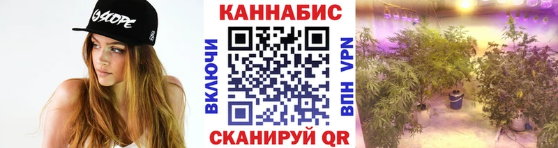 Канабис MAZAR  Дмитриев 